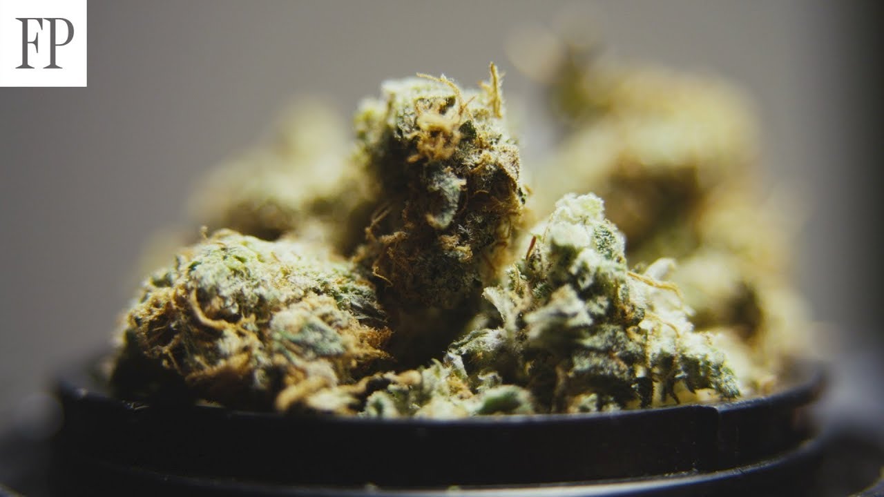 Ontario&rsquo;s New Cannabis Retail Plan