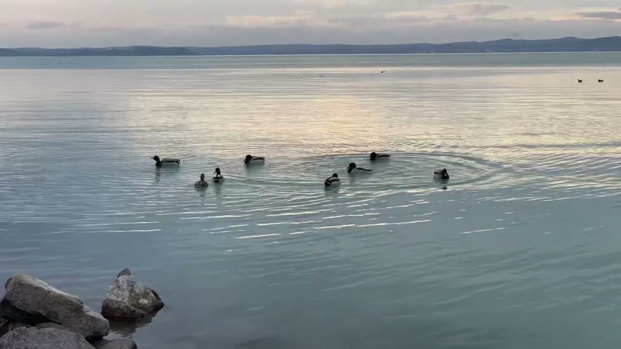 Balaton január végén • Siófok, Ezüst-part