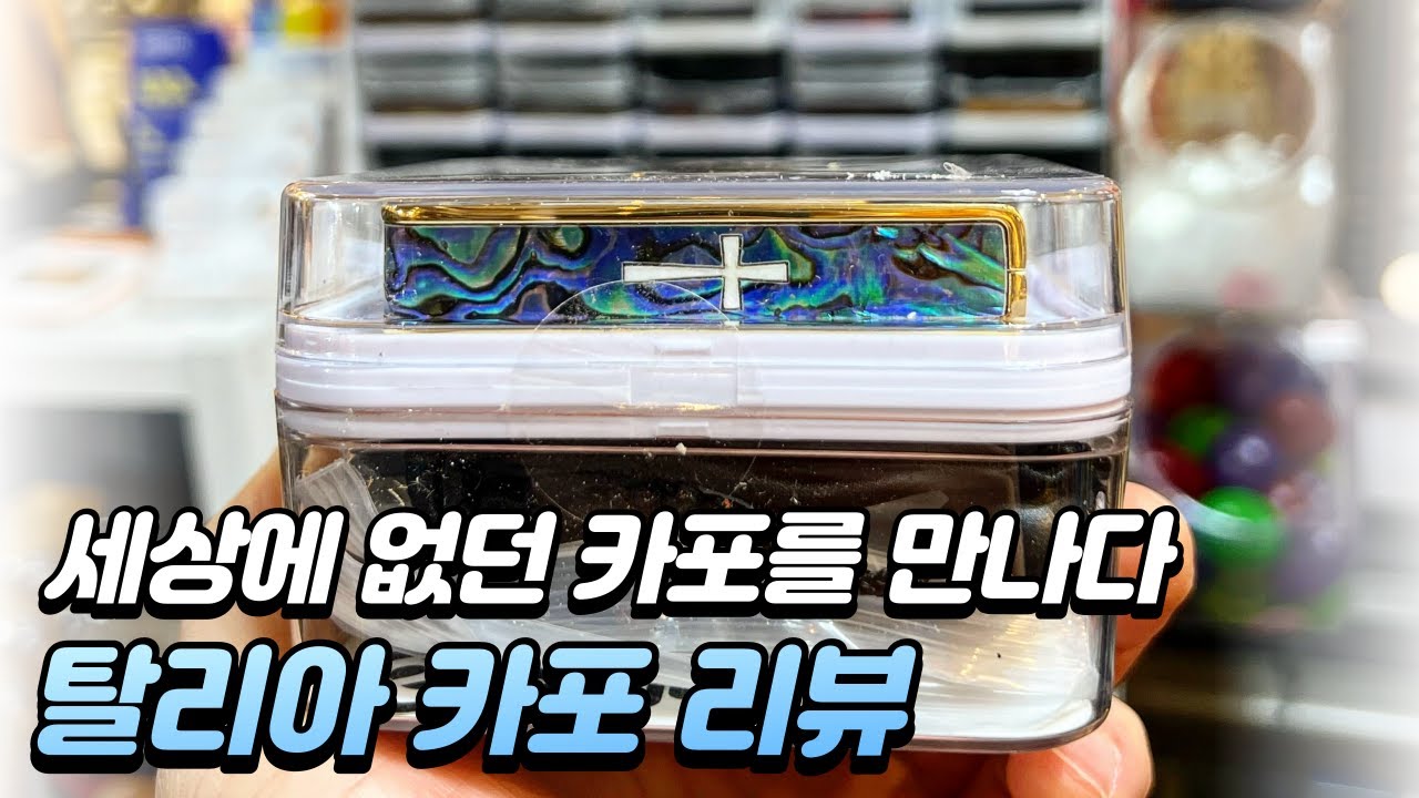 [탈리아카포] 세상에 없던 카포, 탈리아 카포 리뷰 (Thalia Capo Review)