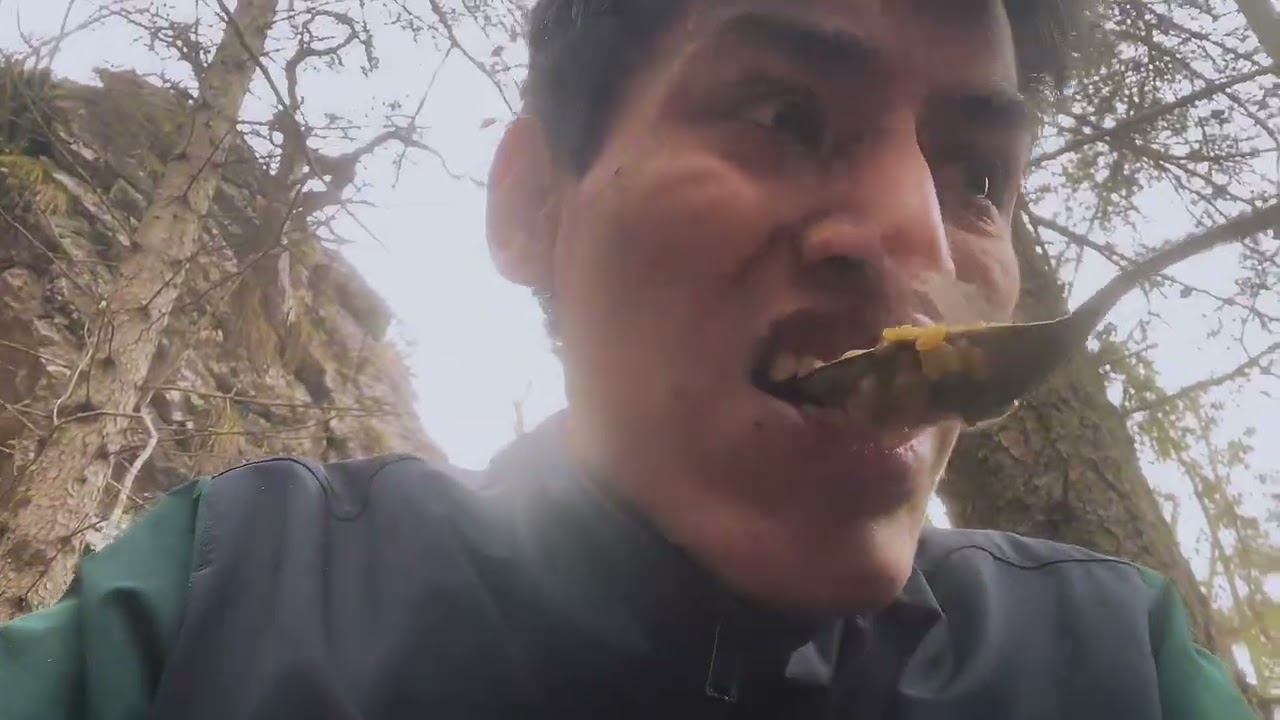 GIORNO 2 Nel bosco 👀