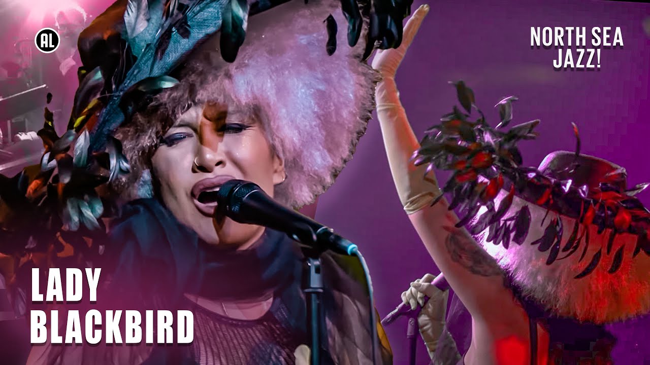 Lady Blackbird - Five Feet Tall, It'll never happen again & interview | North Sea Jazz Festival 2022