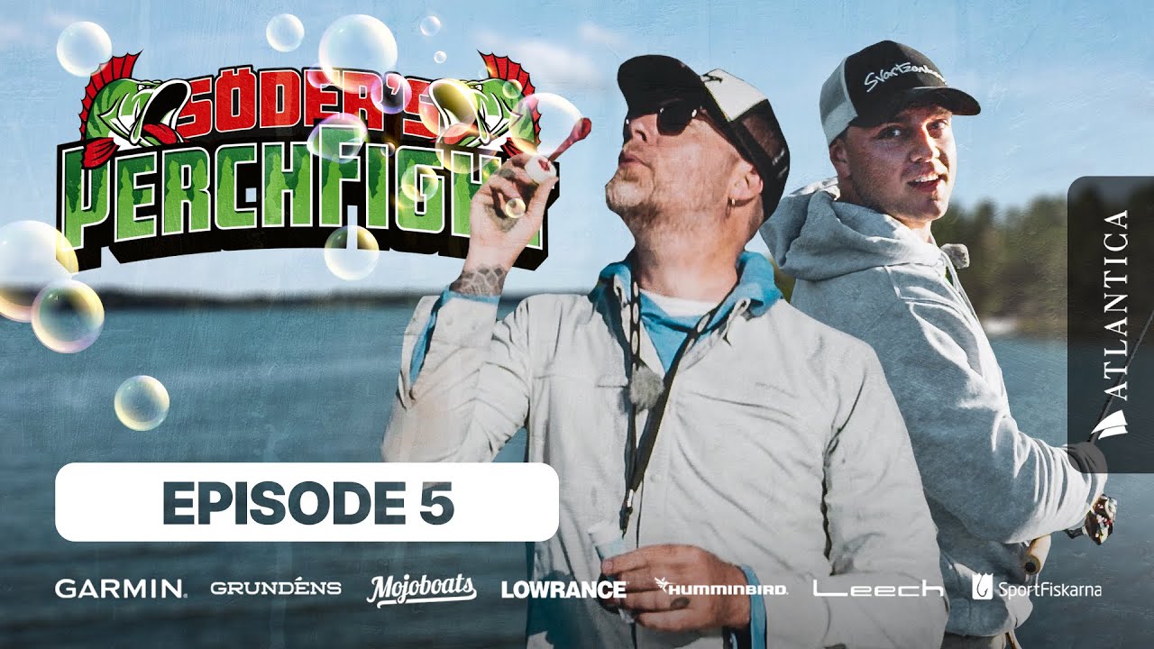 Perch Fight 2022 ep.5 | Sportfiskeprylar.se