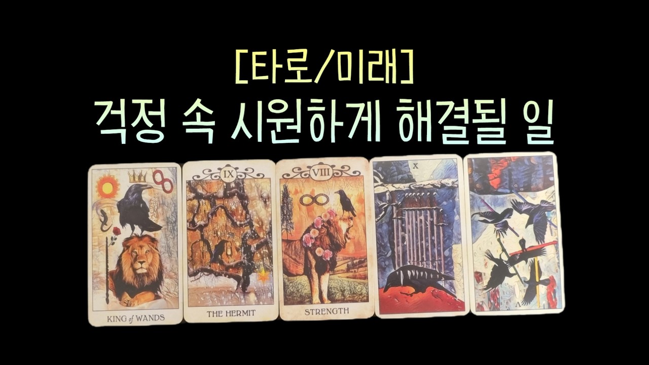 [타로/미래] 걱정 속 시원하게 해결 될 일