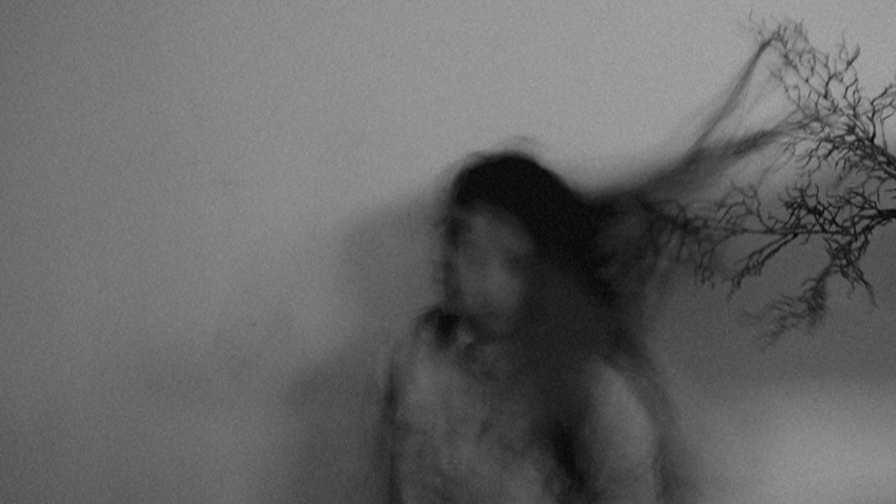 Black Whispers - Dying (Life Neglected Cover)