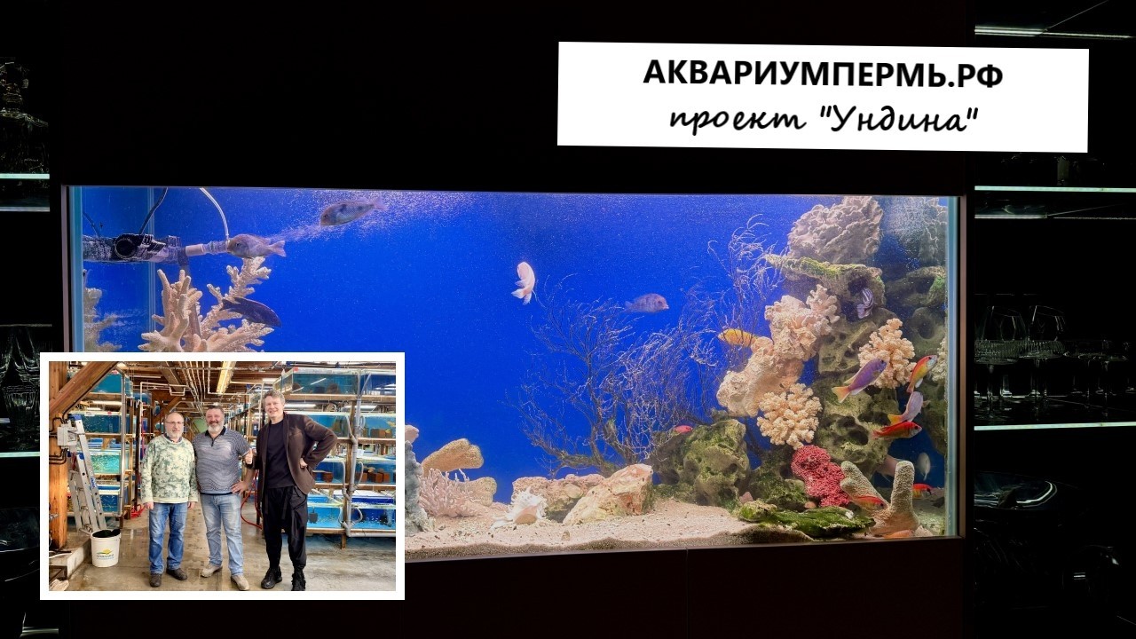 Проект 
