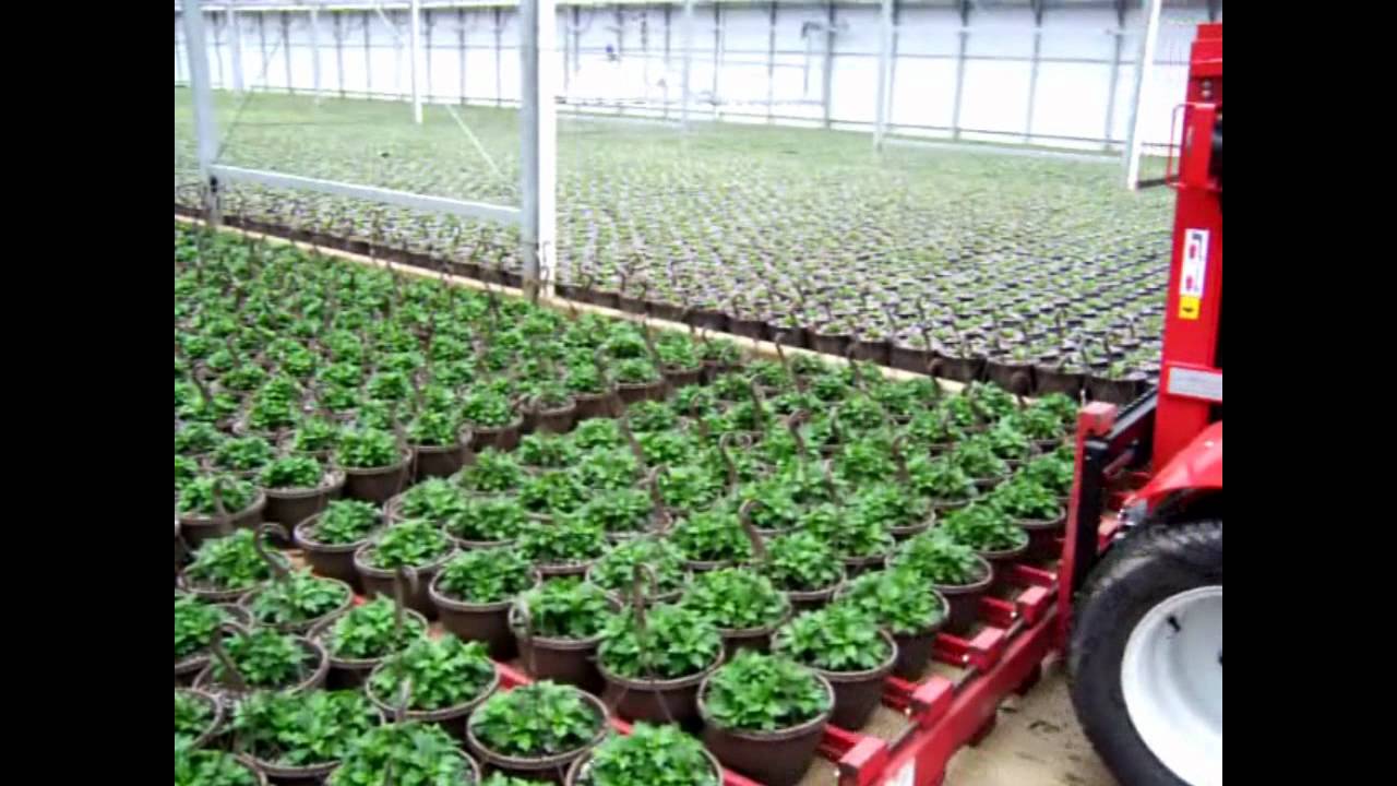 TRIKE Forklift with Pot Forks in greenhouse operation