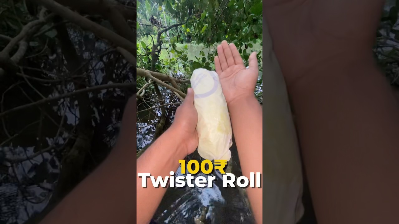 100₹ Twister Roll