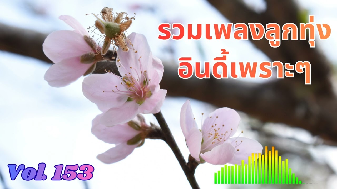 Ep 153 รวมลูกทุ่งอินดี้เพราะๆ เหงาๆ ซึ้งๆ อกหัก