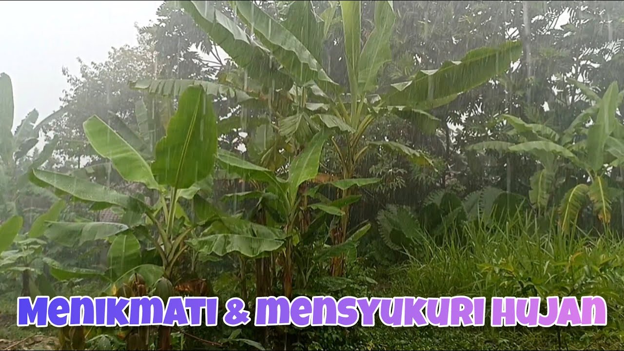 hujan diakhir pekan @walkingsantuy