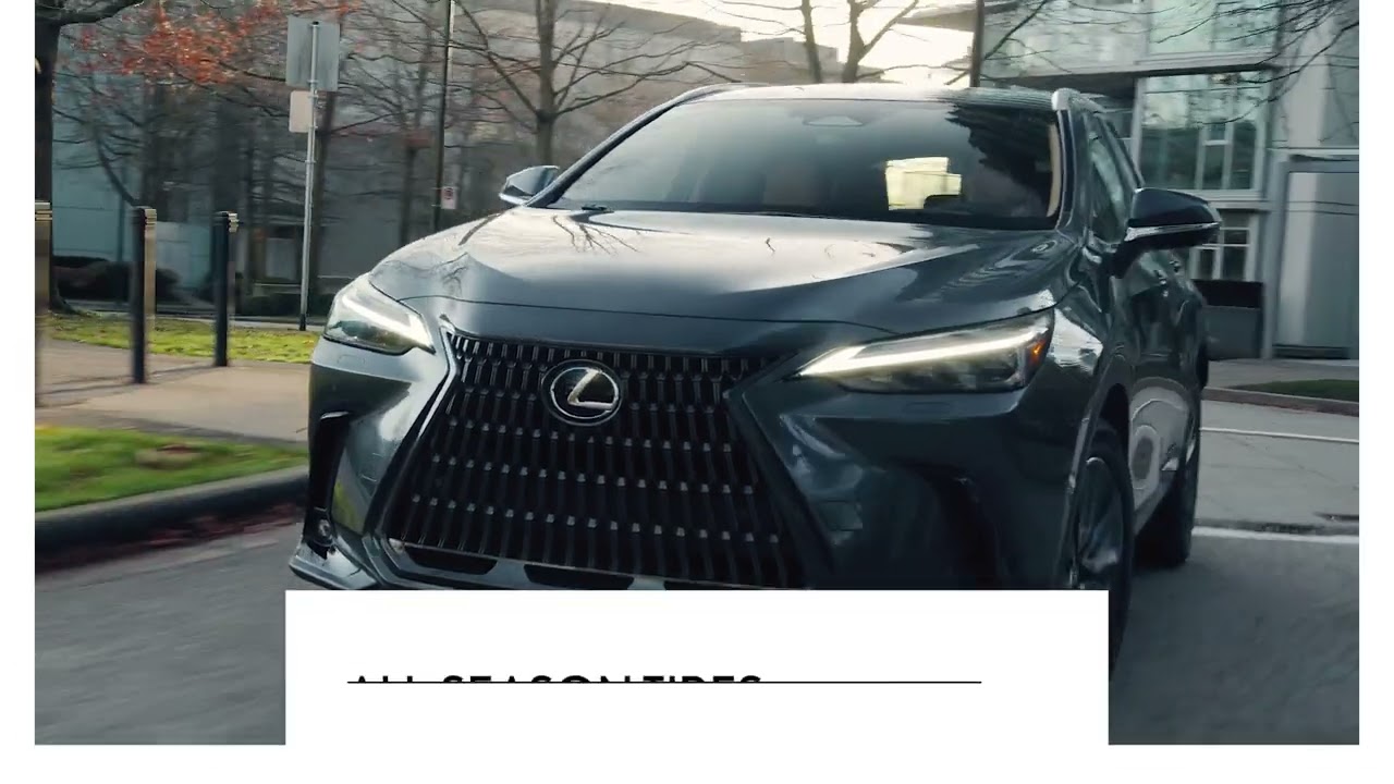 Lexus | Inside Look: Choosing and Storing Your Tires