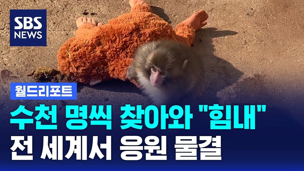 수천 명씩 찾아와 