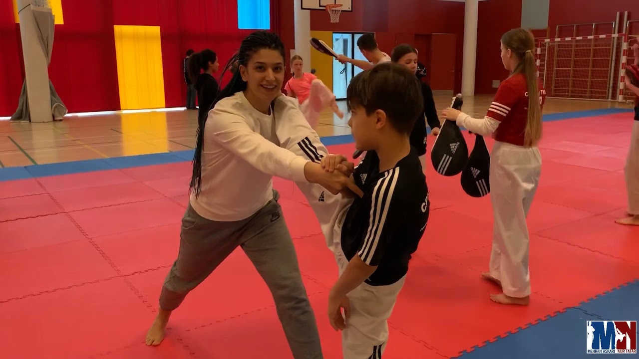 Mehran askari nur tatar 2018 denmark seminar