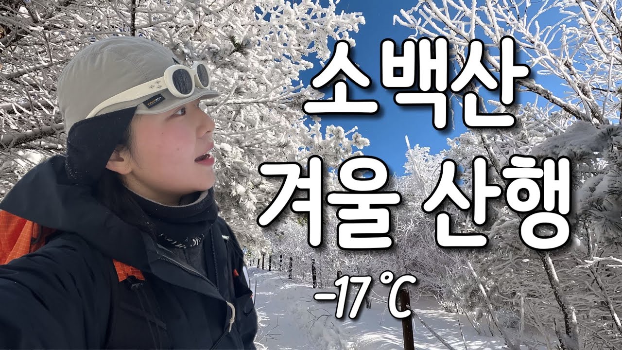 소백산 폭설 다음 날, 미쳐버린 눈꽃 상고대🏔️❄️