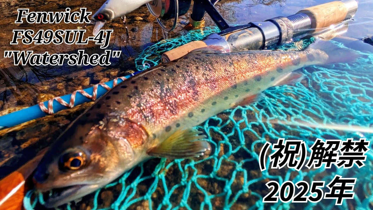 ニューロッドで解禁日だよ！全員集合 #Fenwick #FS49SUL-4J #Watershed#TIEMCO #IMERU50S #MUKKKURI53F #ABU #Cardinal33CDL