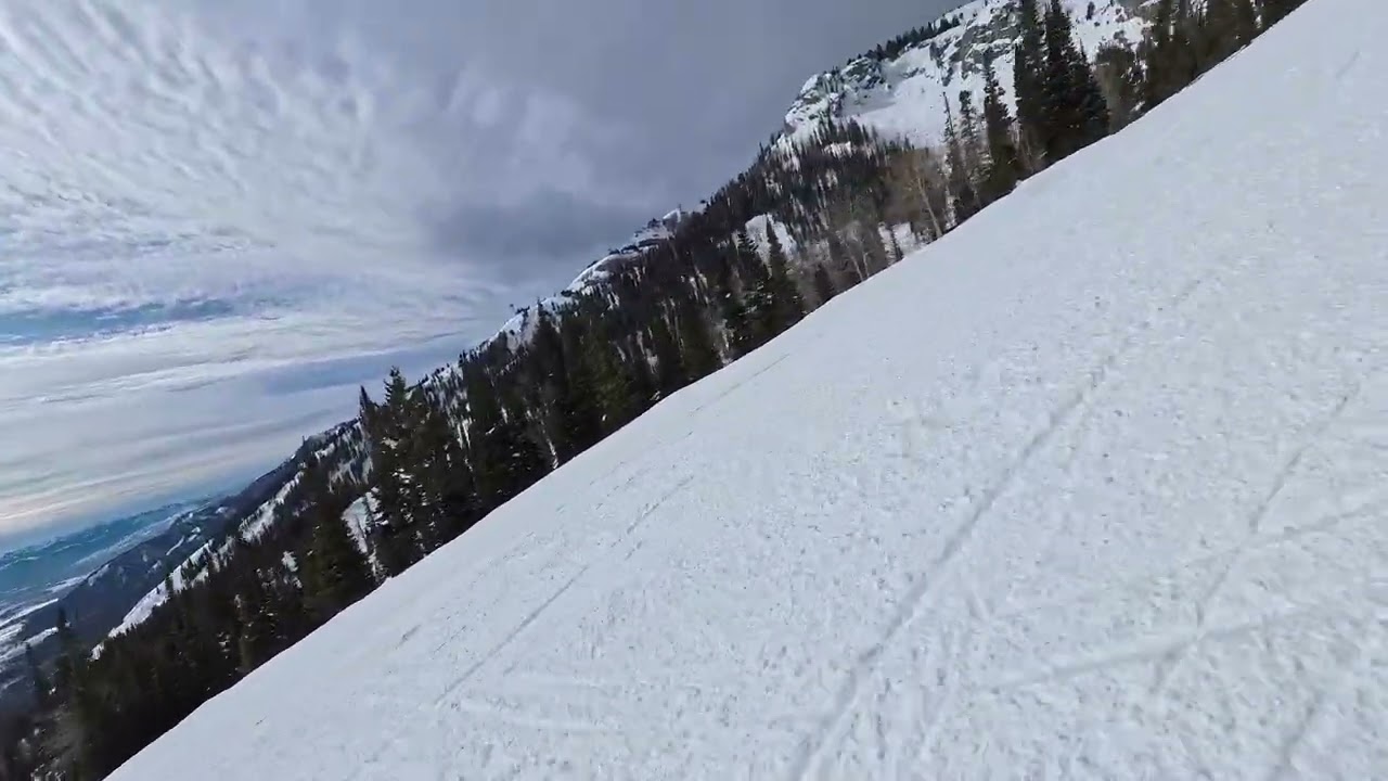 JH 12026 ROSSIGNOL SENDER FREE 110 test