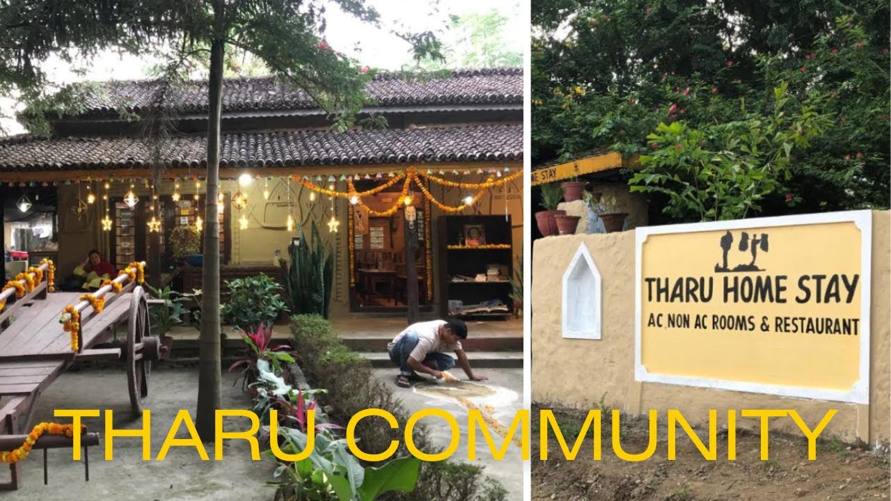 Tharu Community Home Stay, Chitwan National Park, Nepal 2024 | Tharu Community Home Stay Experience