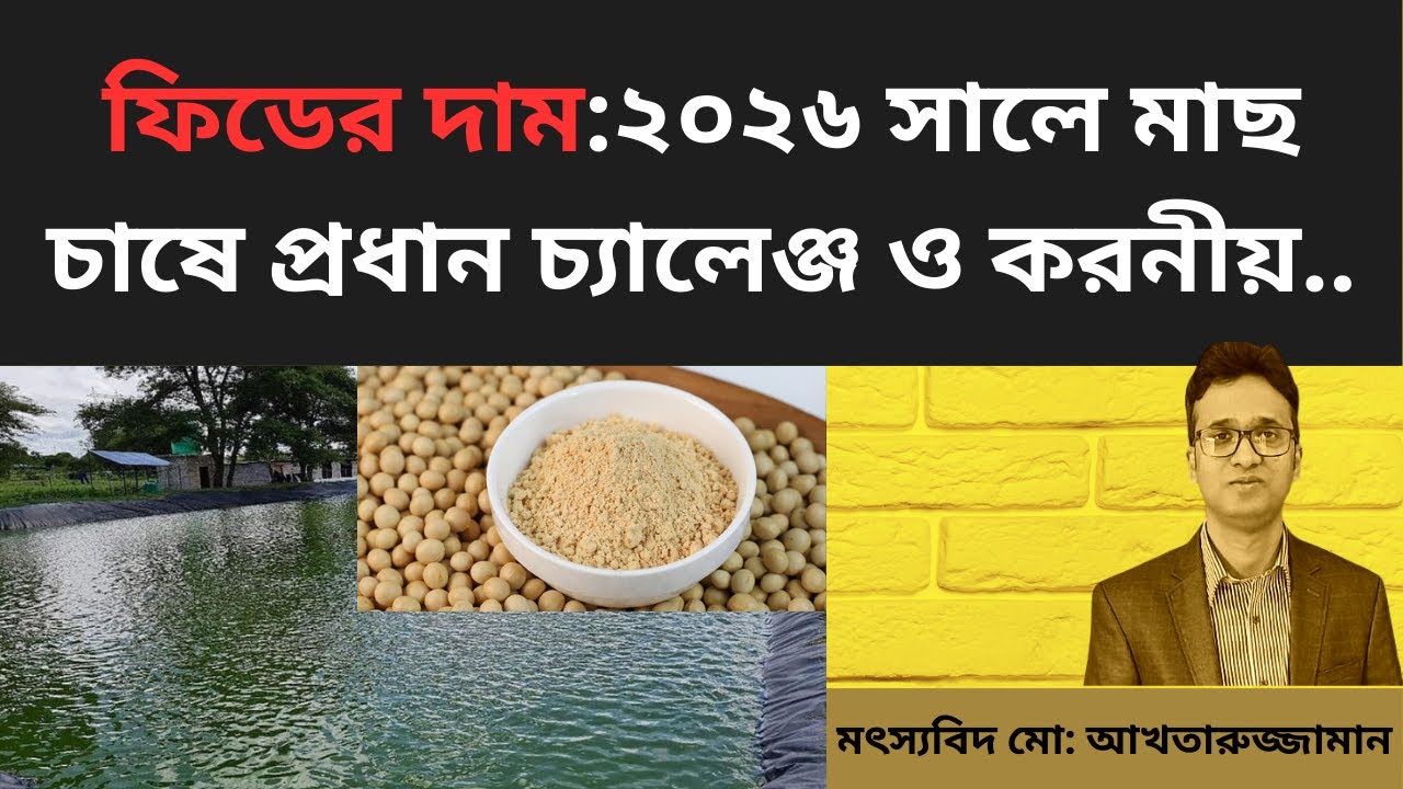 ফিডের দাম:২০২৬ সালে মাছ চাষে প্রধান চ্যালেঞ্জ ও করনীয় (Fish Feed Price hike challenge)