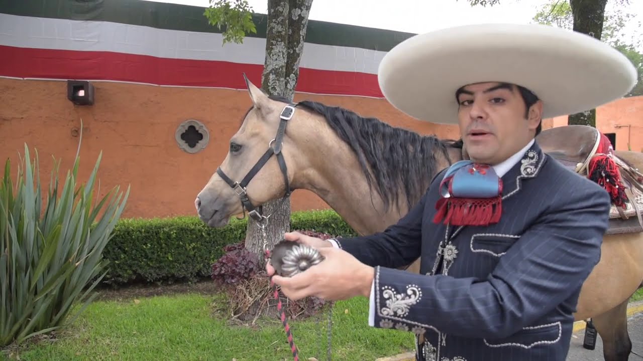 FRENO SIN CABEZADAS PROPIEDAD DE ALEJANDRO GOÑI.