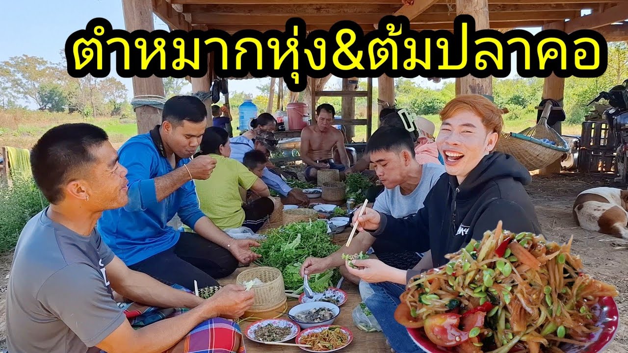 Ep: 1269 ตำหมากหุ่ง&ต้มปลาคอใหญ่กินที่เทียงนาบ่าวน้ำ