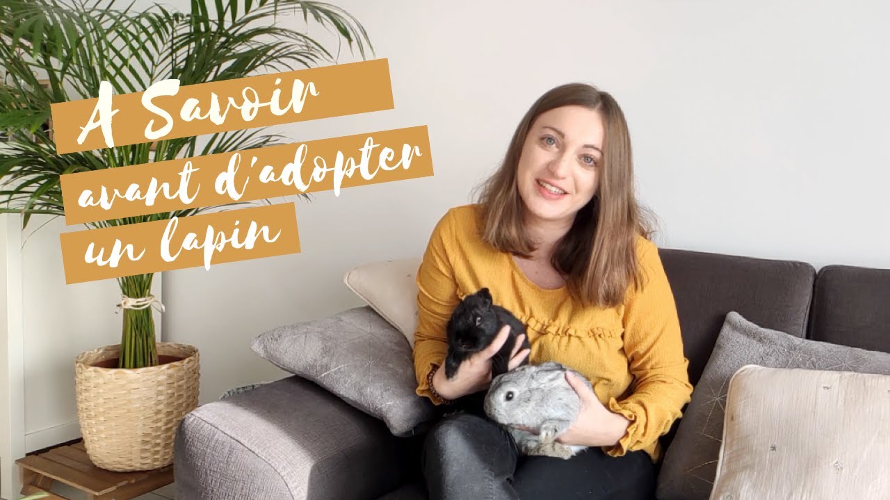 ADOPTER UN LAPIN - Mes conseils de base