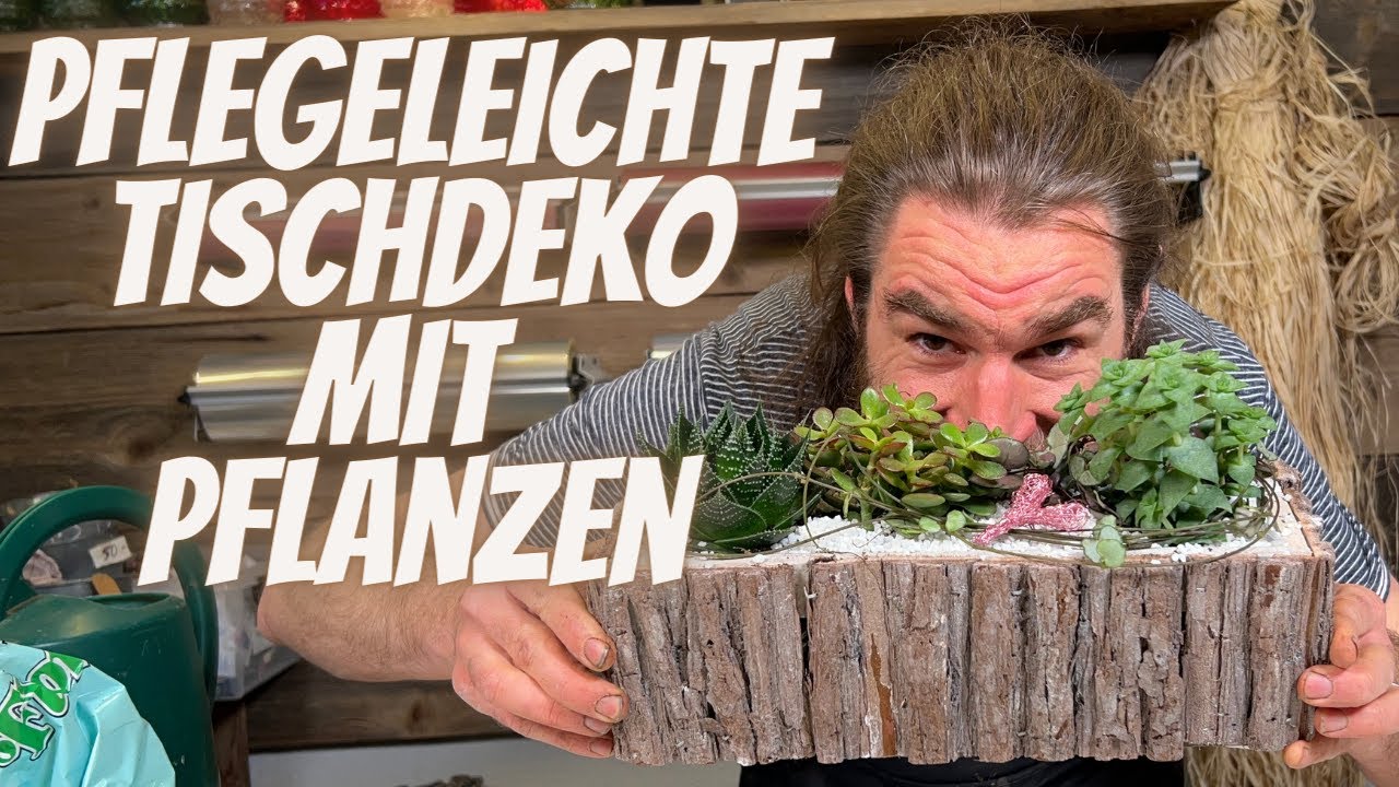 Gef&auml;ss gef&uuml;llt mit Sukkulenten - Pflegeleichte Tischdeko Idee - Sommer Wohnzimmer Deko Idee - DIY