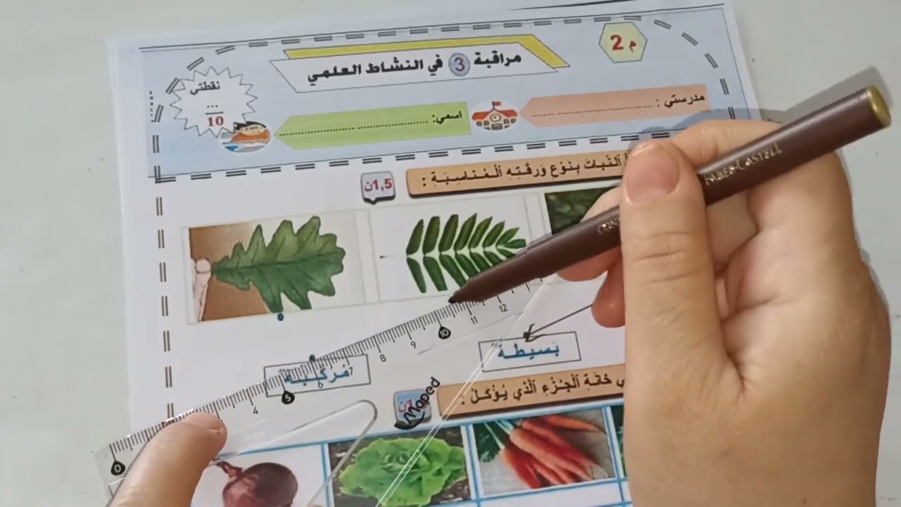 فرض المرحلة الثالثة مادة النشاط العلمي المستوى الثاني/الفرض الاول في الدورة الثانية النشاط العلمي