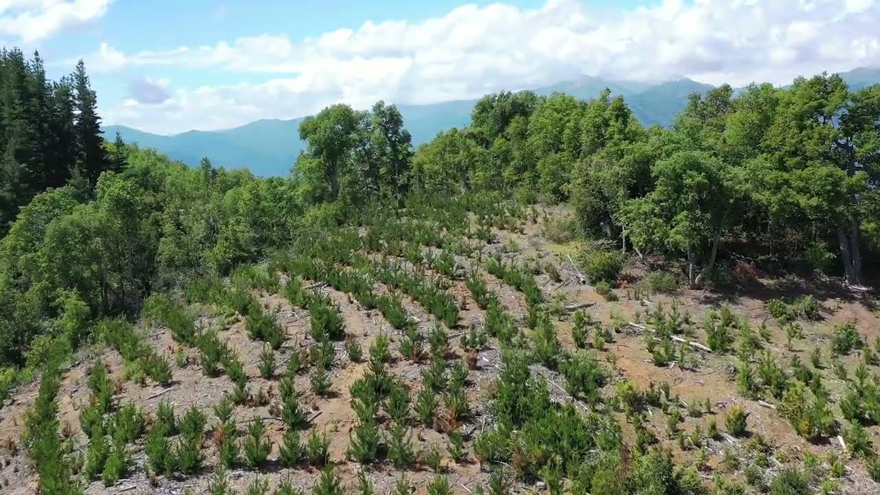 Drone view over Colbun Lake Maule, Chile