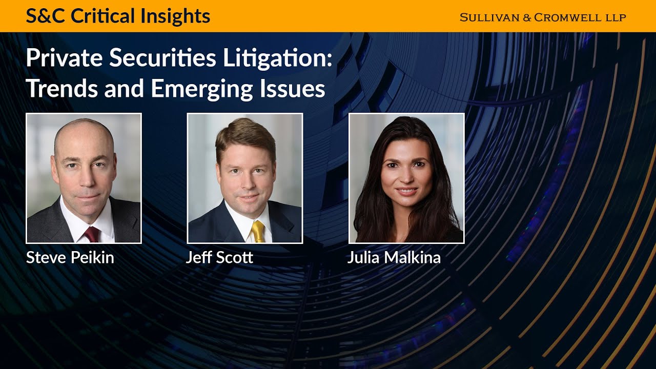 Private Securities Litigation: Trends and Emerging Issues