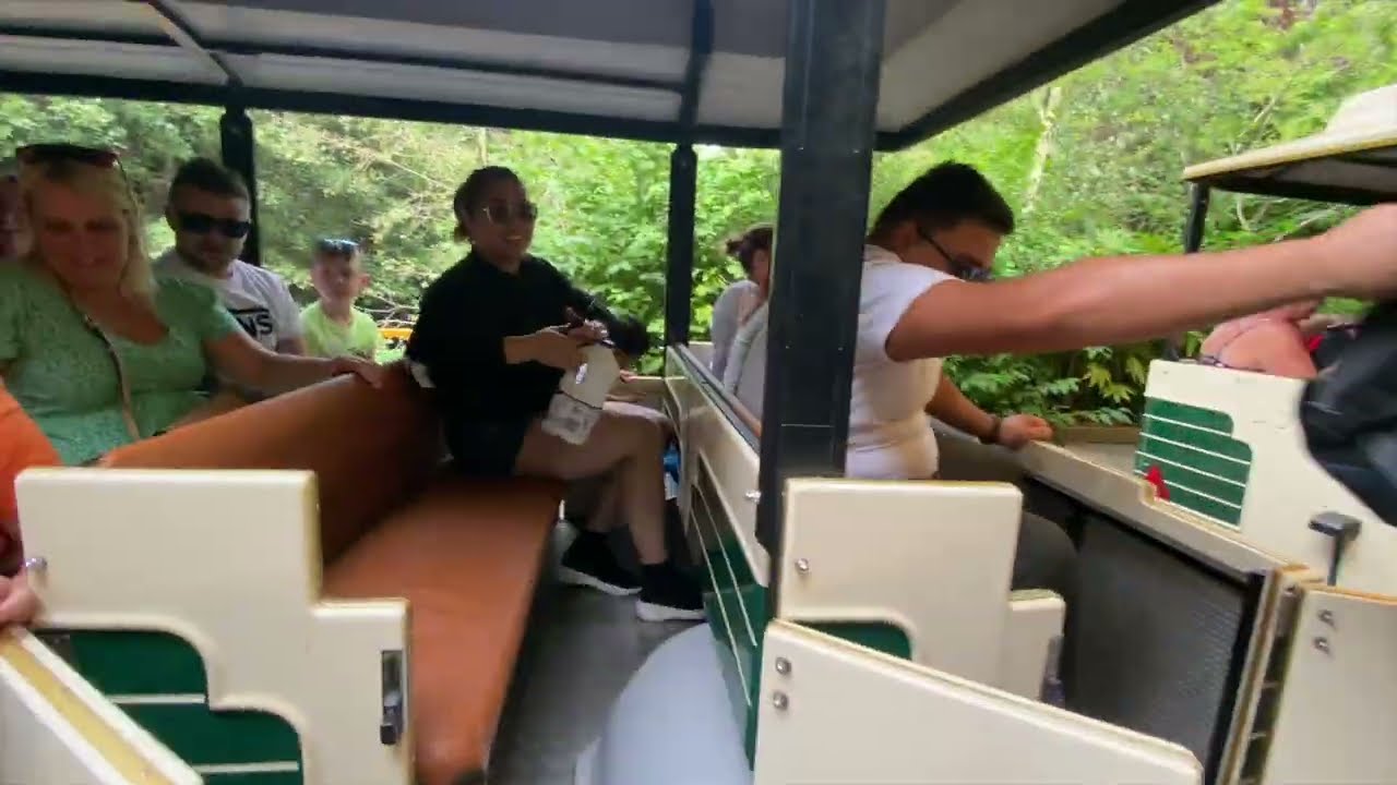 🐘🦧🦩 Colchester Zoo Train Experience | Best Zoo in UK | Zoo Tour