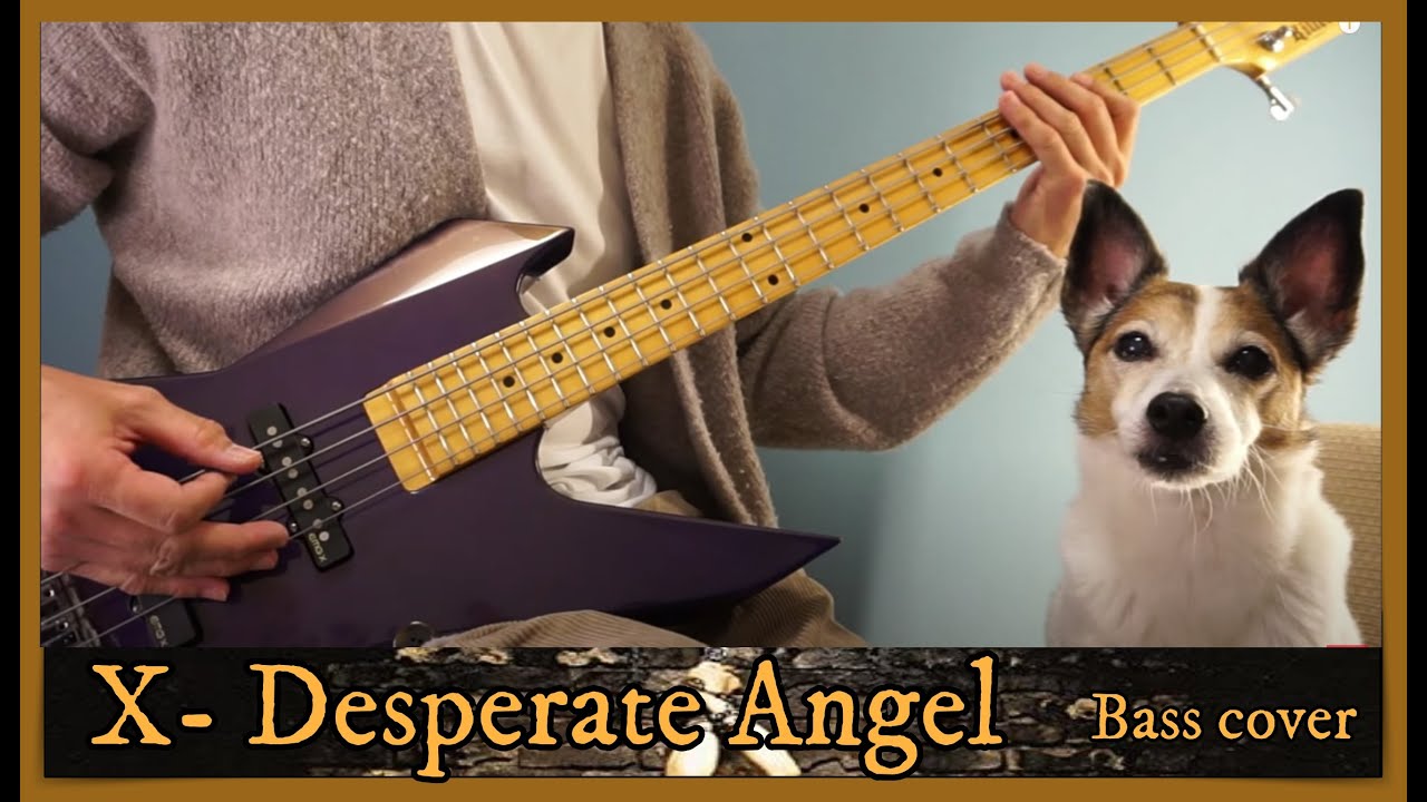 X(X JAPAN) - Desperate Angel ベース 弾いてみた Bass Playthrough