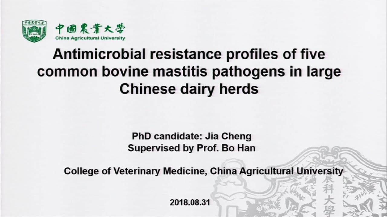 Antibiogram of klebsiella species isolated from bovine mastitis in China