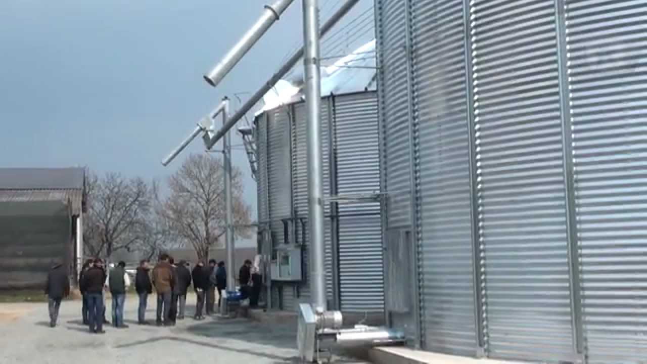 Séchage de maïs au bois déchiqueté