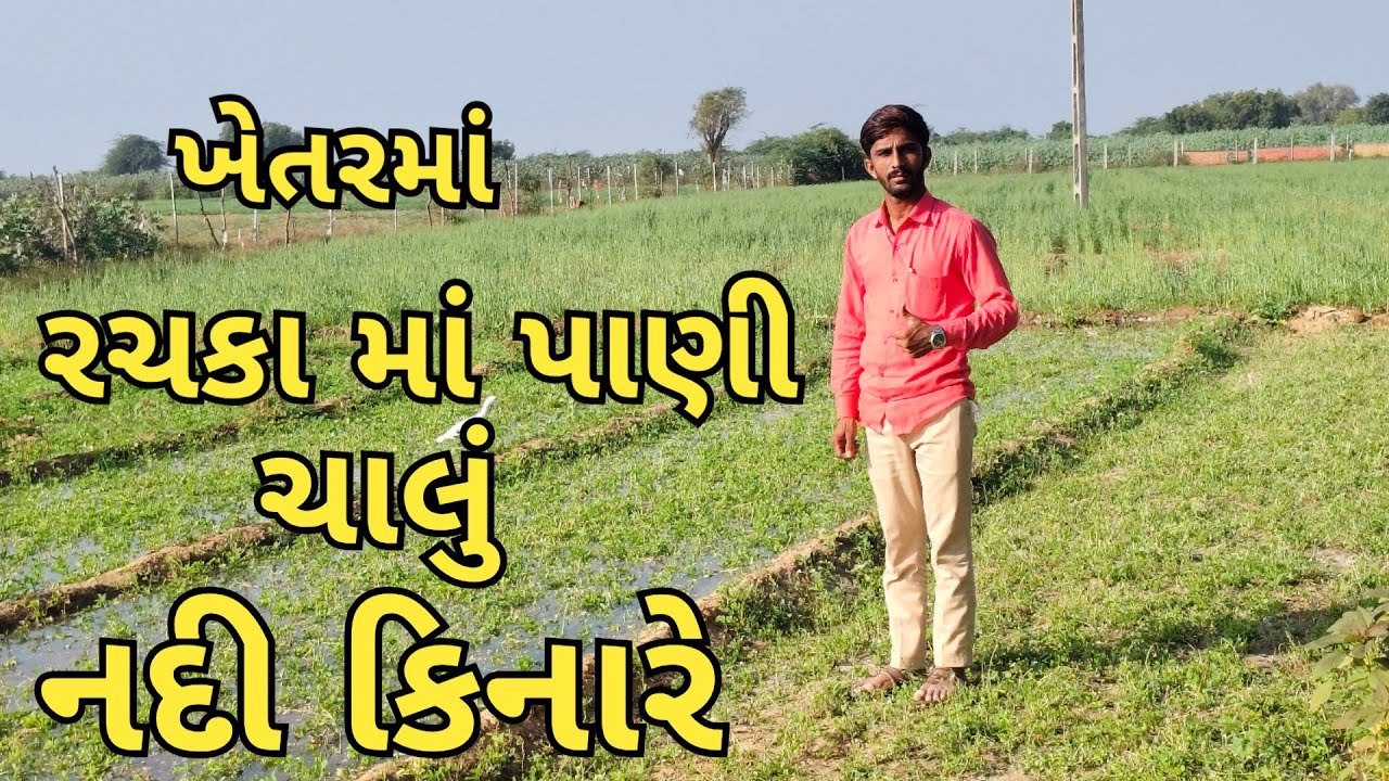 ખેતરના રચકામાં વહેતું જીવન 🌾💧 | નદી કિનારાની ખેતી