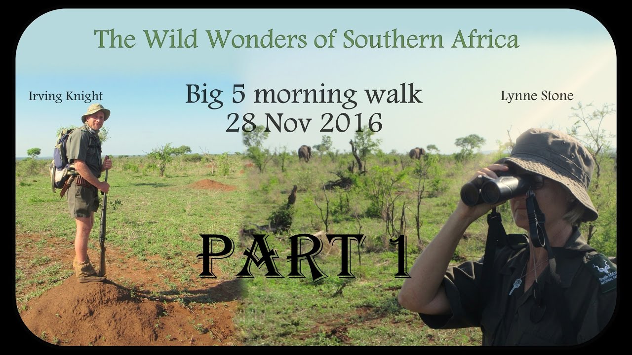 Big 5 morning walk with Irving Knight and Lynne Stone - part 1