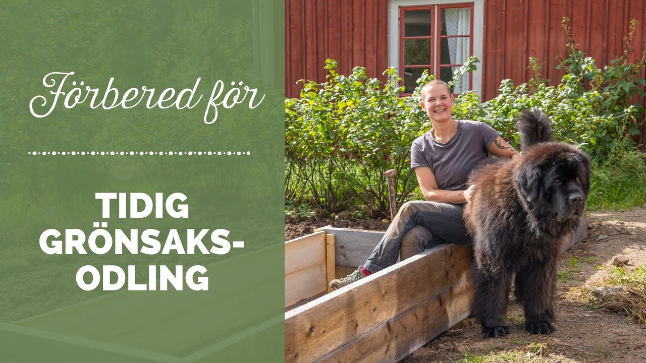Förbered för tidig grönsaksodling