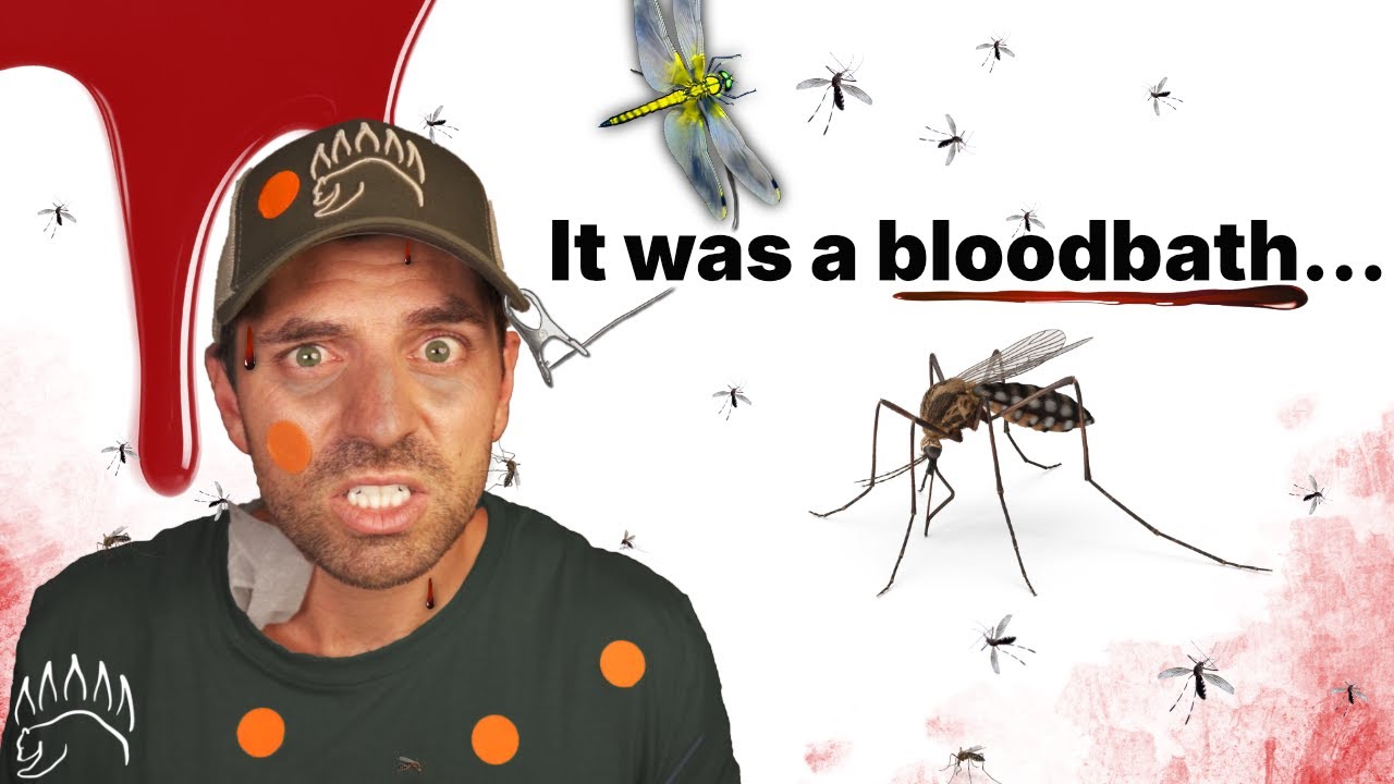 I tested the Internet’s most popular Mosquito Repellents.