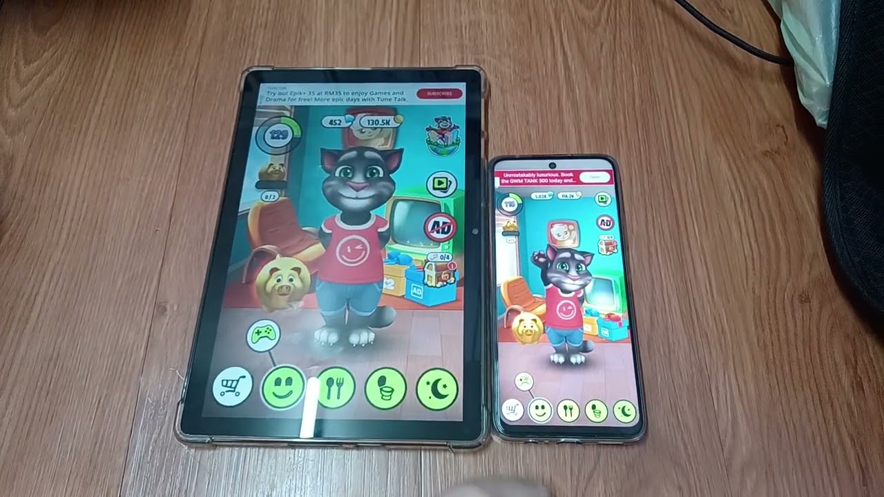 My Talking Tom Echo