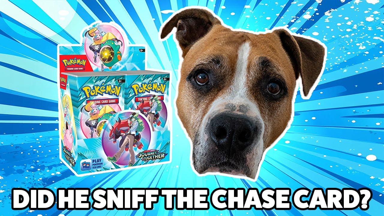 Finding a $200 Pokémon Card in My Journey Box