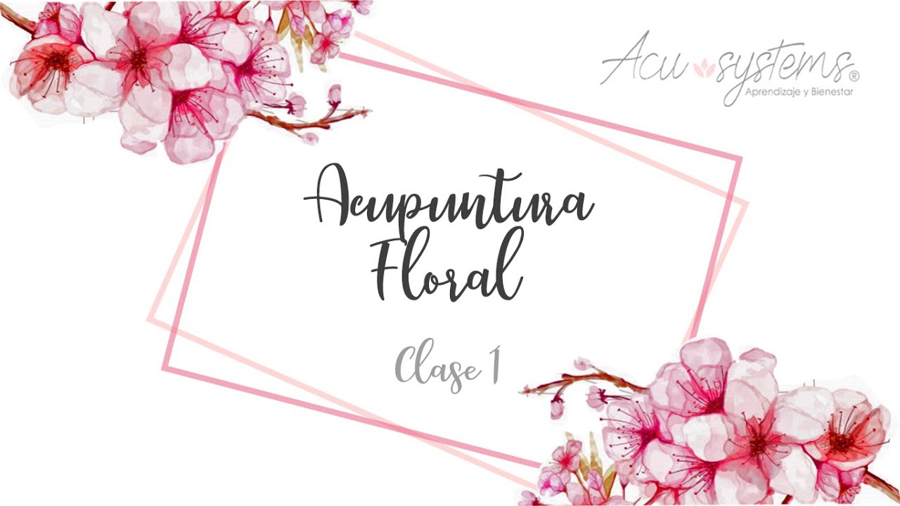 Curso Acupuntura Floral clase 1
