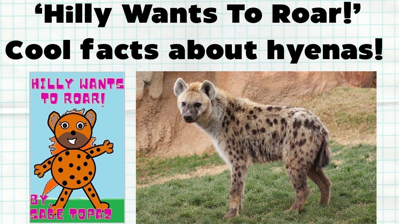 'Hilly Wants To Roar!' and Cool Facts About Hyenas!