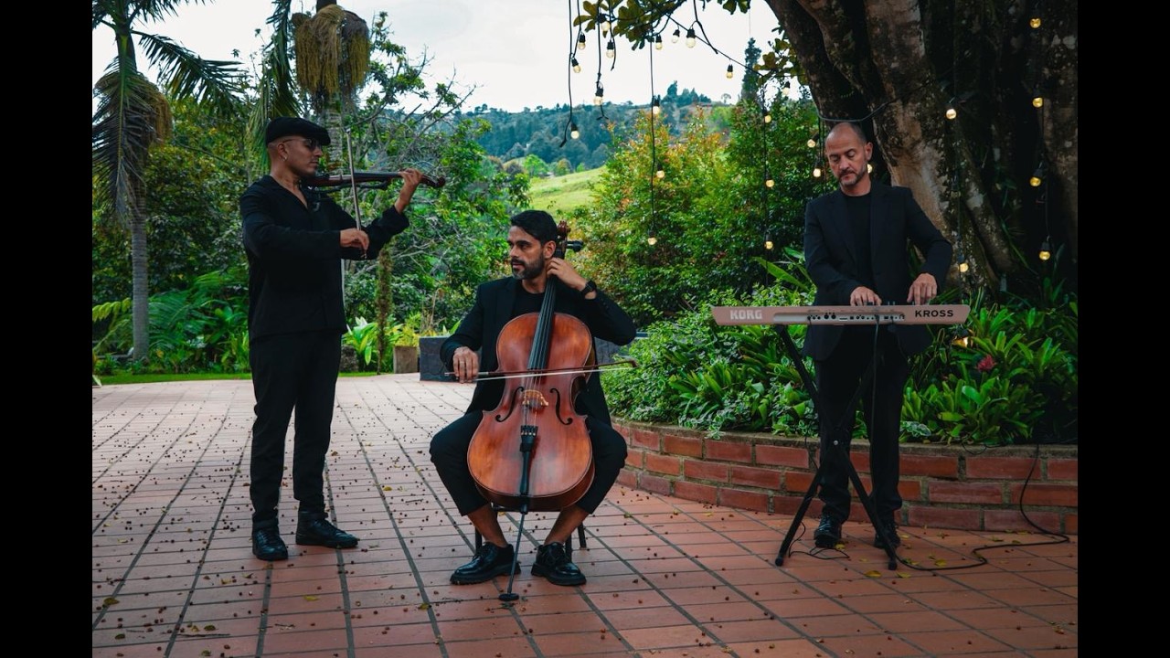 Canon in D - Pachelbel/ Cello, Violín & Piano