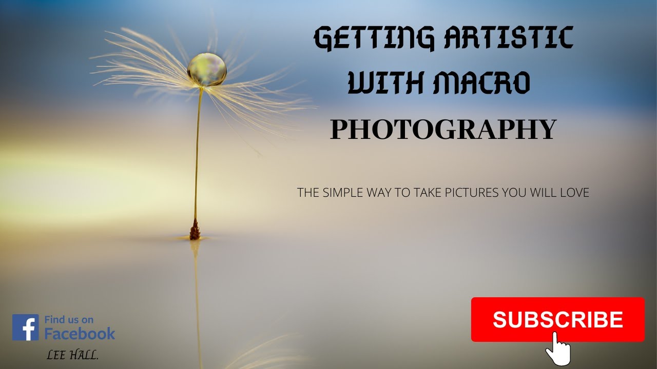 Macro dandelion art for beginners.