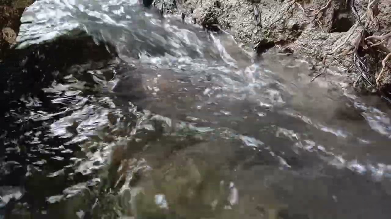 Soft Flowing Water Sounds to Ease Exhaustion and Refresh the Mind