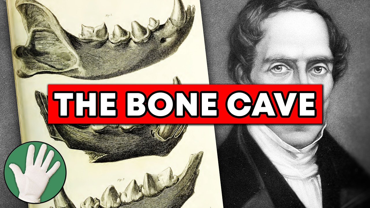 The Bone Cave - Objectivity 305