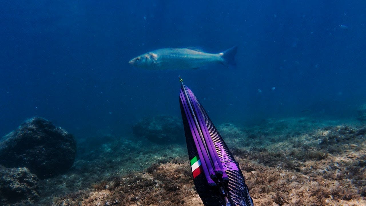 NO FISH? NO PROBLEM! – Spearfishing Croatia Freezer Dinner June 2025 4K 🍽️ 🇭🇷