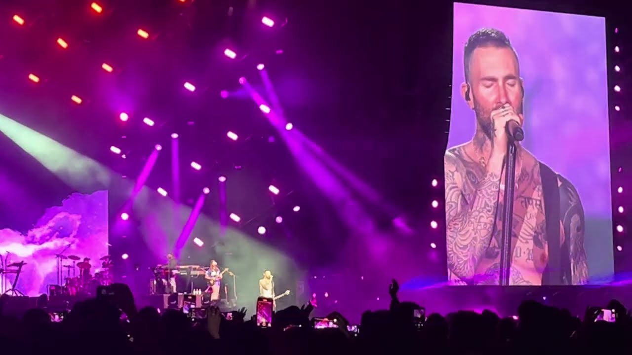Maroon 5 2025.2.8 Sugar