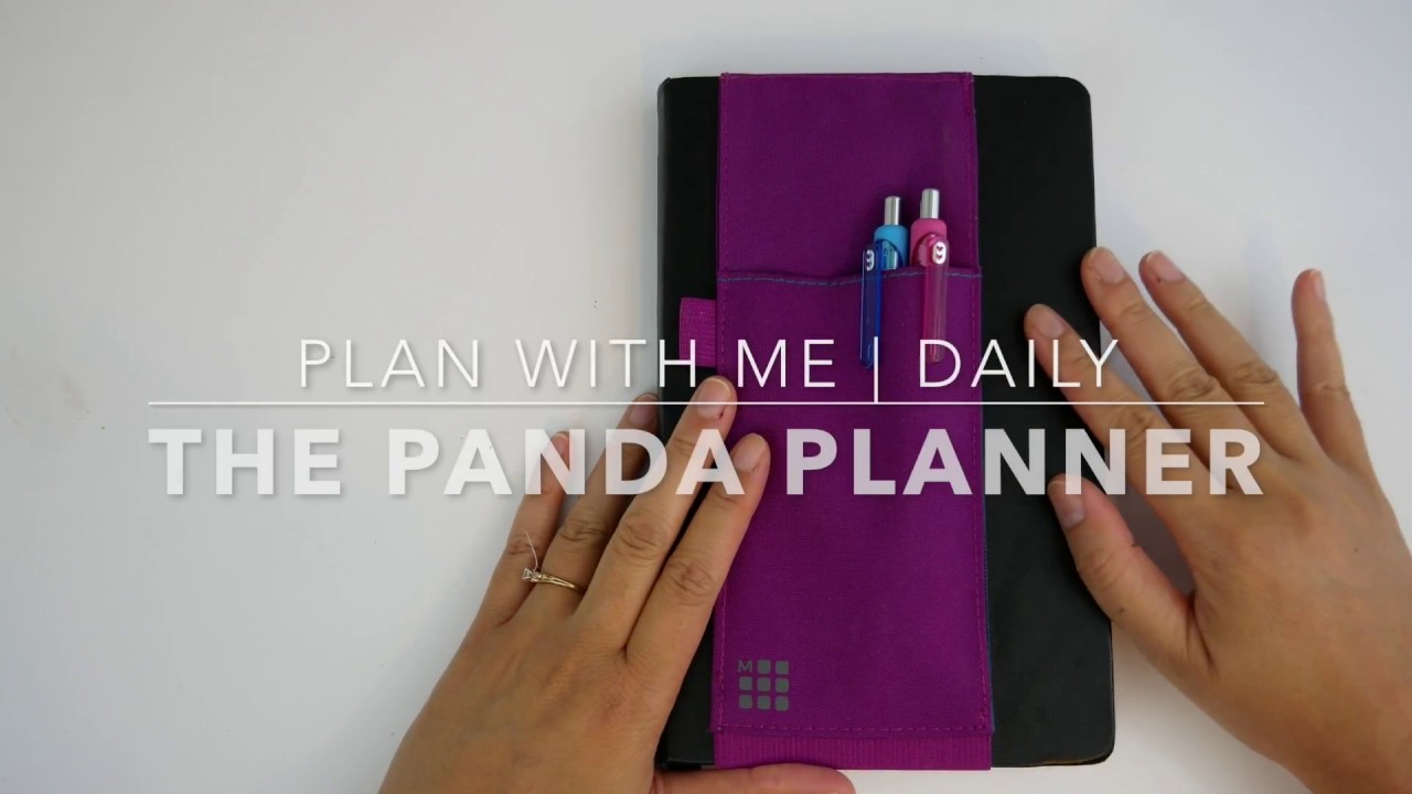 plan with me | daily planning | panda planner