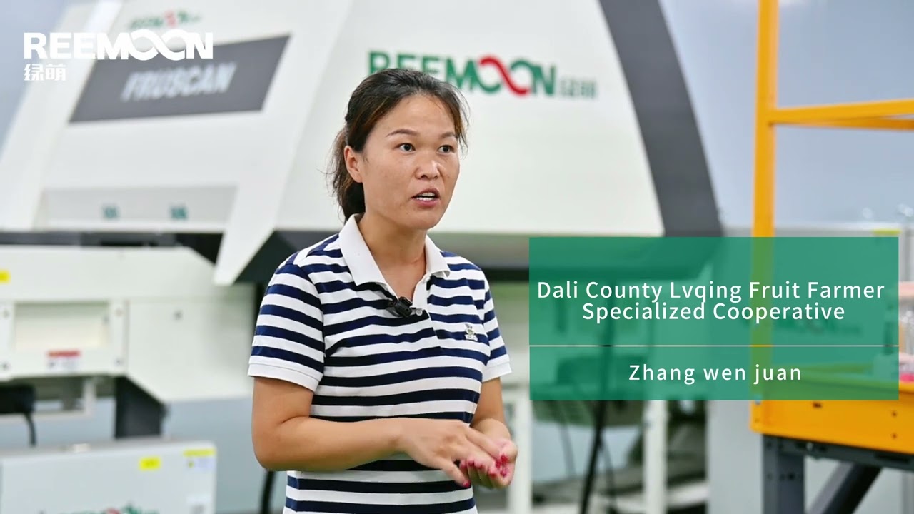 Reemoon Sorting+Dali Lvqing Cooperative= Jujube upgrade