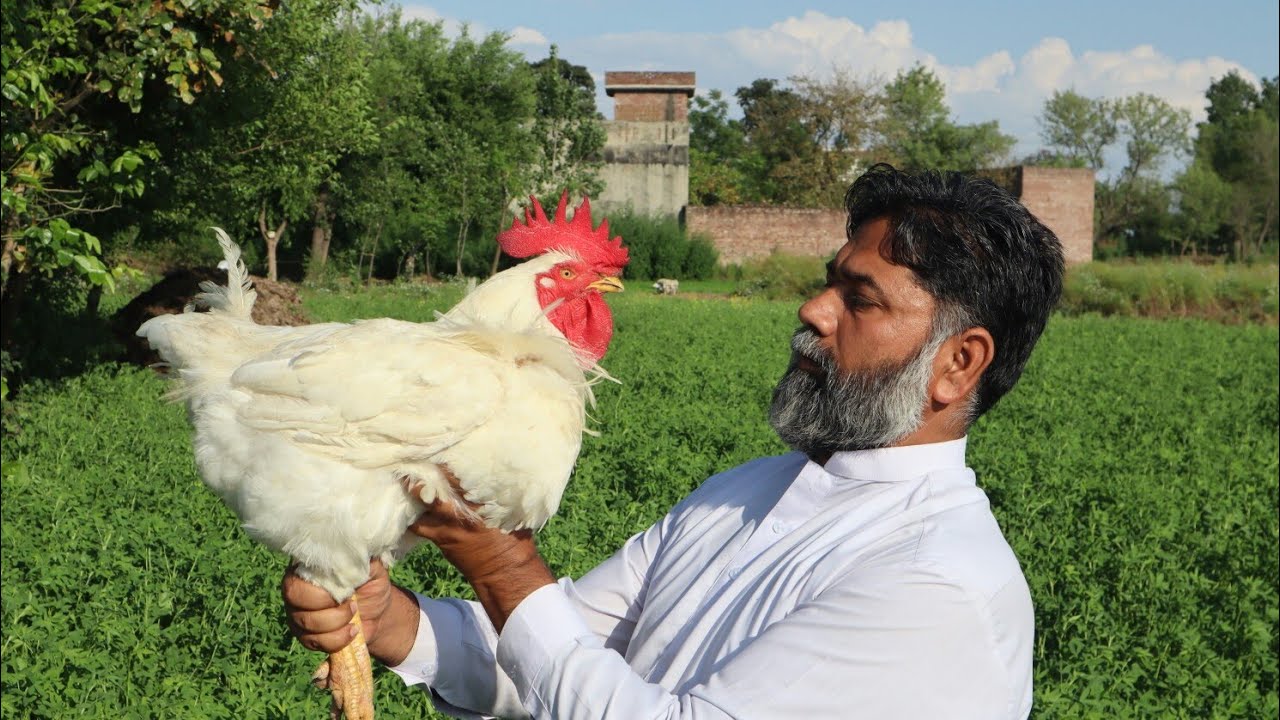 Lahori Charga Recipe / Desi Murag Charga / Whole Chicken Steamed Fried / Mubarak Ali