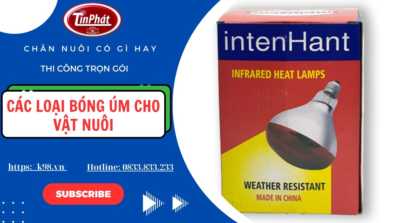 Tín Phát – Công Nghệ Cho Trang Trại Thông Minh đang phát trực tiếp!